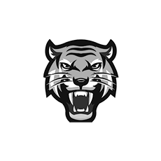 grupo-cara-de-tigre